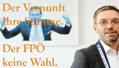 Die FPÖ ist keine Wahl - Sagt der Hausverstand